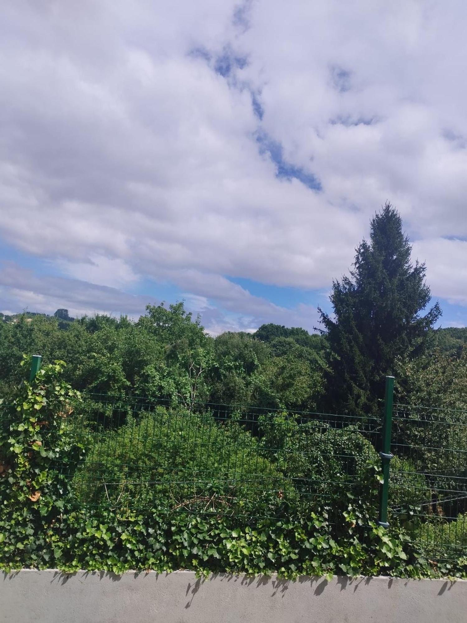 Apartament La Casita Del Bosque Lugo Zewnętrze zdjęcie
