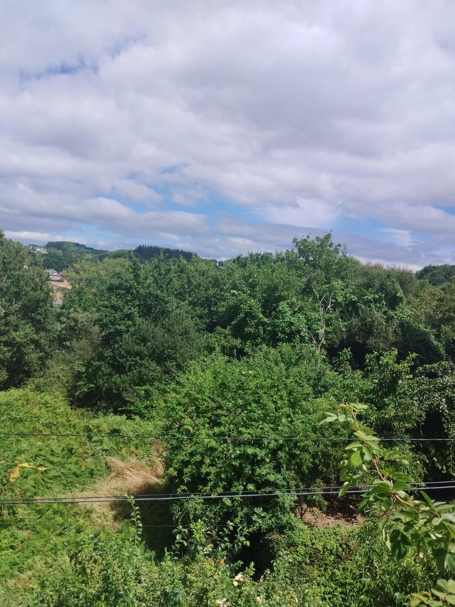 Apartament La Casita Del Bosque Lugo Zewnętrze zdjęcie